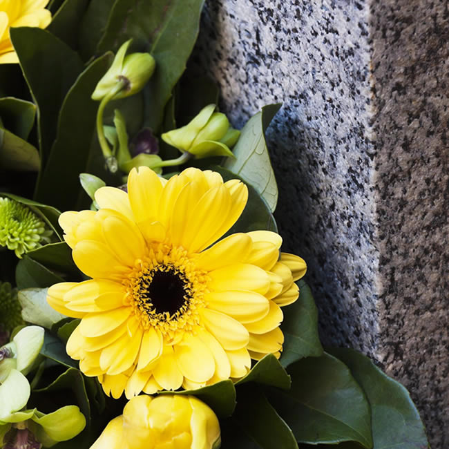 Fleur jaune pierre tombale