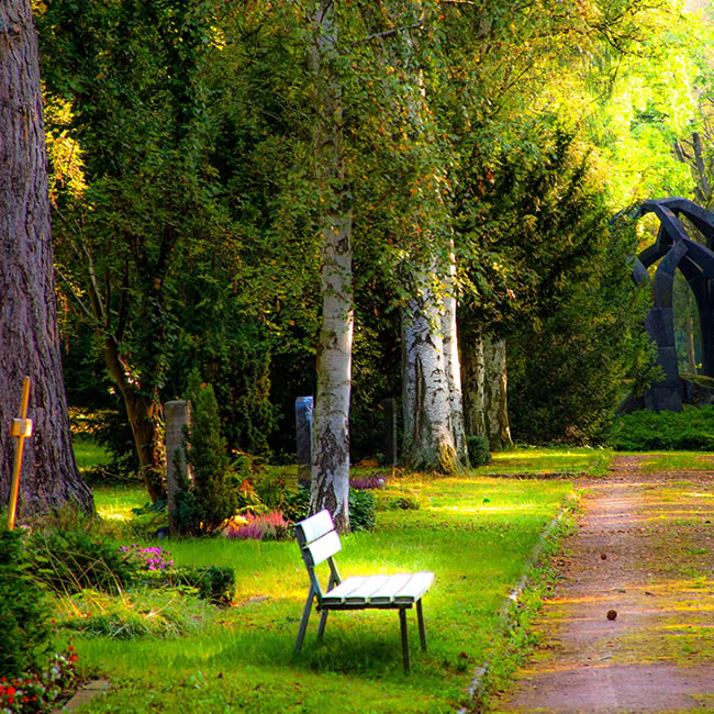 Parc banc blanc